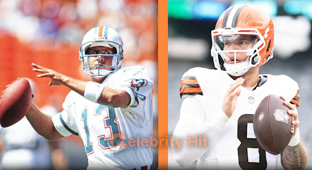 Miami Dolphins vs Cleveland Browns match player stats